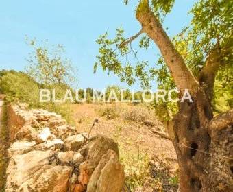 Sale Lands Calas de Mallorca