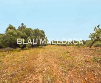 Sale Lands Calas de Mallorca