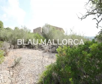 Sale Rustic houses Son Servera