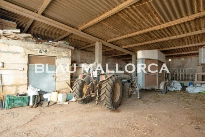 Sale Rustic houses Manacor