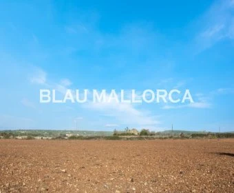 Sale Rustic houses Manacor