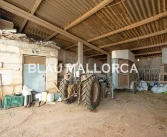 Sale Rustic houses Manacor