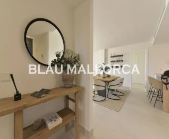 Sale Houses Sa Rapita