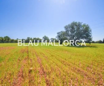 Verkauf landet Santanyí