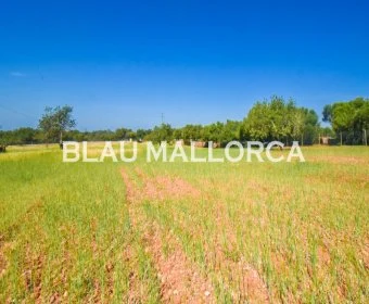 Verkauf landet Santanyí