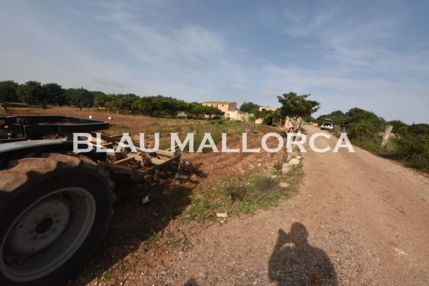 Sale Rustic houses Manacor