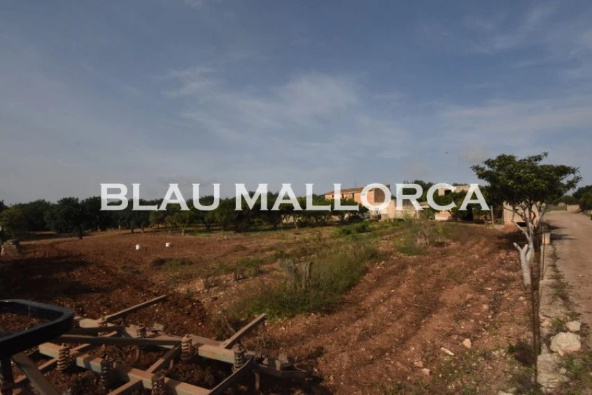 Sale Rustic houses Manacor