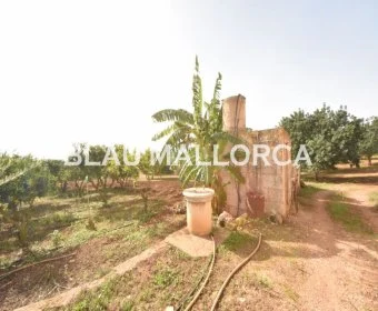 Sale Rustic houses Manacor