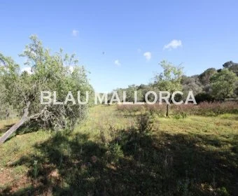 Venta Terrenos Porto Petro