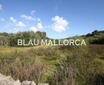 Venta Terrenos Porto Petro