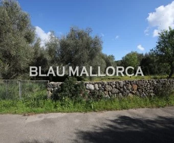 Venta Terrenos Porto Petro