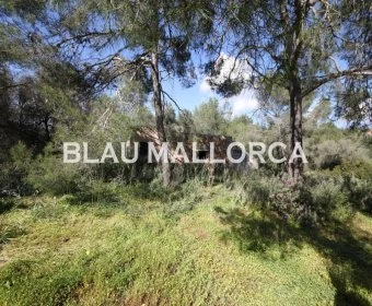 Venta Terrenos Porto Petro