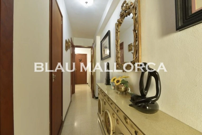 Venta Pisos Palma