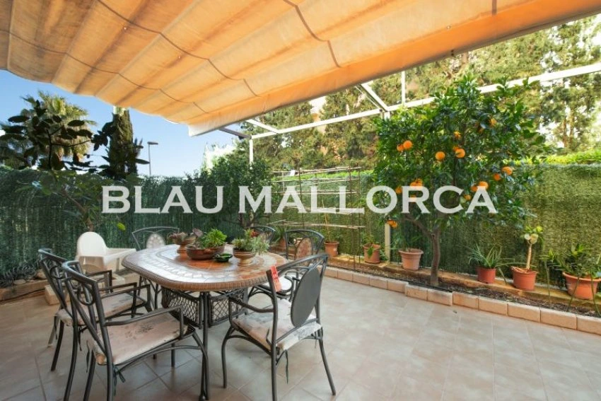 Venta Pisos Cala Millor