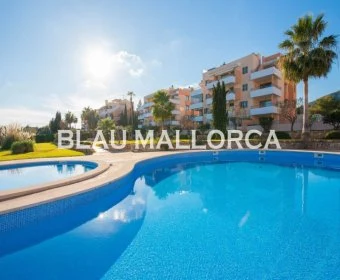 Venta Pisos Cala Millor