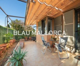 Venta Pisos Cala Millor