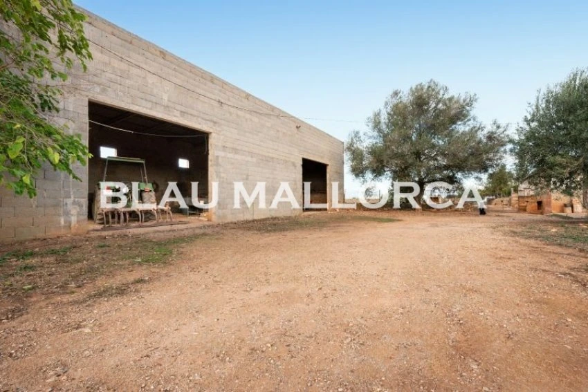 Sale Rustic houses Manacor