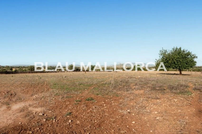 Sale Rustic houses Manacor