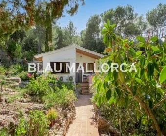 Sale Rustic houses Son Servera