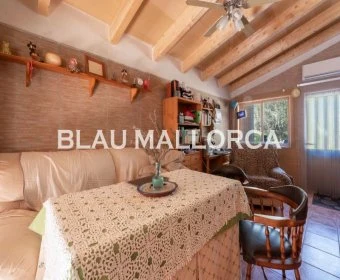 Sale Rustic houses Son Servera