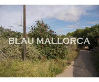 Venta Terrenos Cala Llombards