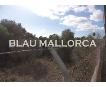 Venta Terrenos Cala Llombards