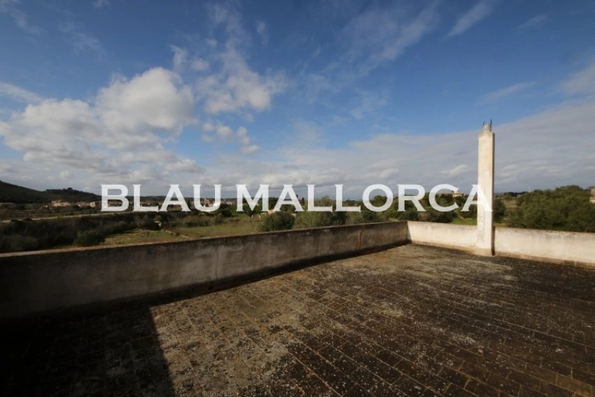 Sale Rustic houses Son Carrio