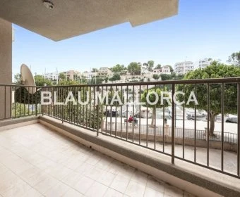 Venta Pisos Porto Cristo