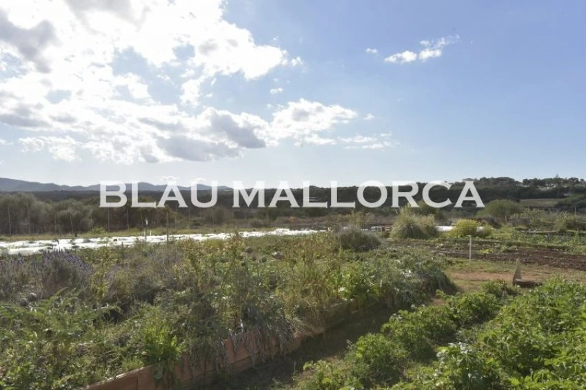 Sale Rustic houses Porto Cristo