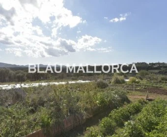 Sale Rustic houses Porto Cristo