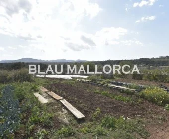 Sale Rustic houses Porto Cristo