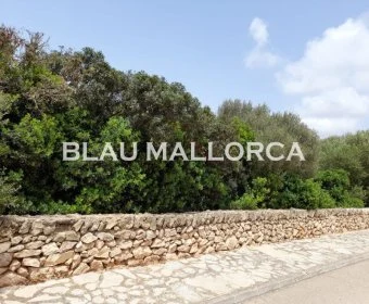 Verkauf Städtische Grundstücke Llucmajor