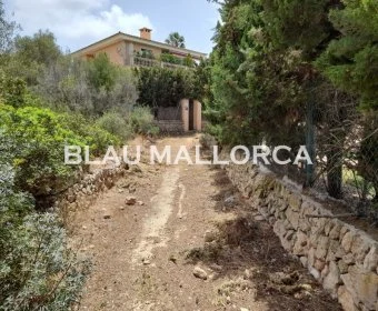 Verkauf Städtische Grundstücke Llucmajor