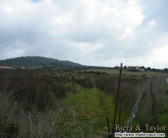 Venta Terrenos Manacor