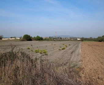 Venta Terrenos Felanitx