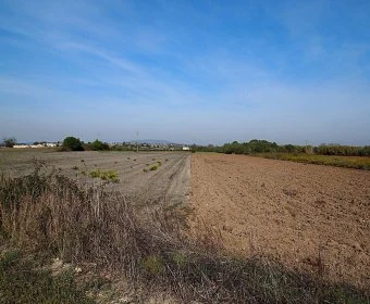 Venta Terrenos Felanitx