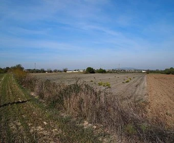 Venta Terrenos Felanitx