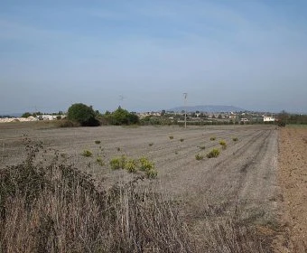 Venta Terrenos Felanitx