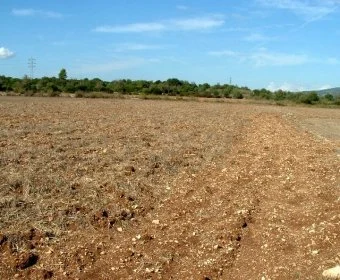 Venta Terrenos Manacor