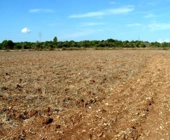 Venta Terrenos Manacor