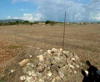 Venta Terrenos Manacor