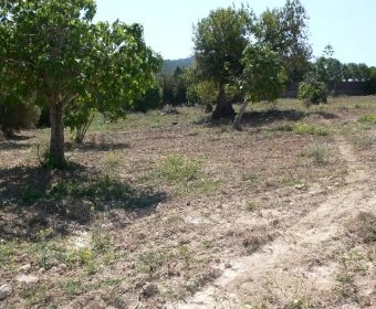 Venta Terrenos Manacor