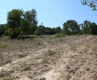 Venta Terrenos Manacor