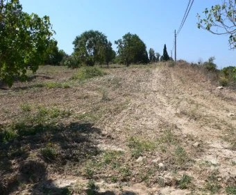 Venta Terrenos Manacor