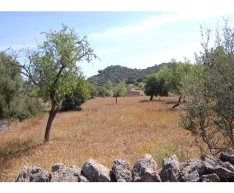 Venta Terrenos Felanitx