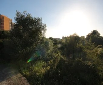 Sale Urban solar Calas de Mallorca