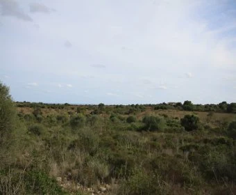 Venta Terrenos Porto Cristo