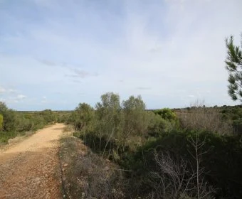 Venta Terrenos Porto Cristo