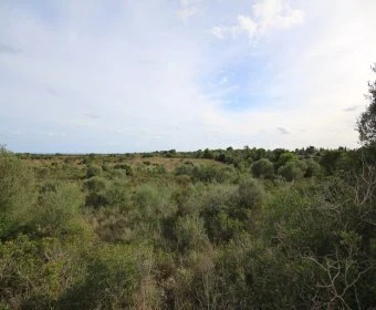 Venta Terrenos Porto Cristo
