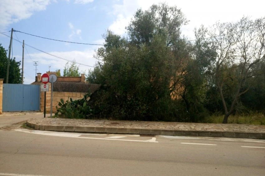 Venta Solares urbanos Sant Llorenç des Cardassar